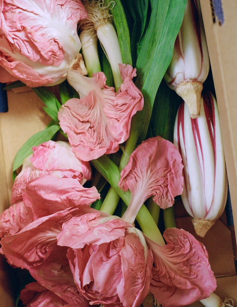 Box of pink radicchio and green leeks